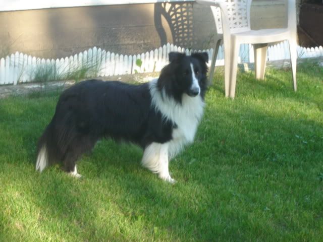 Jack July 16 2011